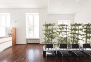 helles und grün bepflanztes Wartezimmer der Praxisklinik Bruchsal