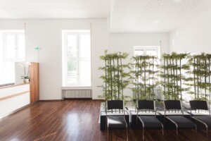 helles und grün bepflanztes Wartezimmer der Praxisklinik Bruchsal